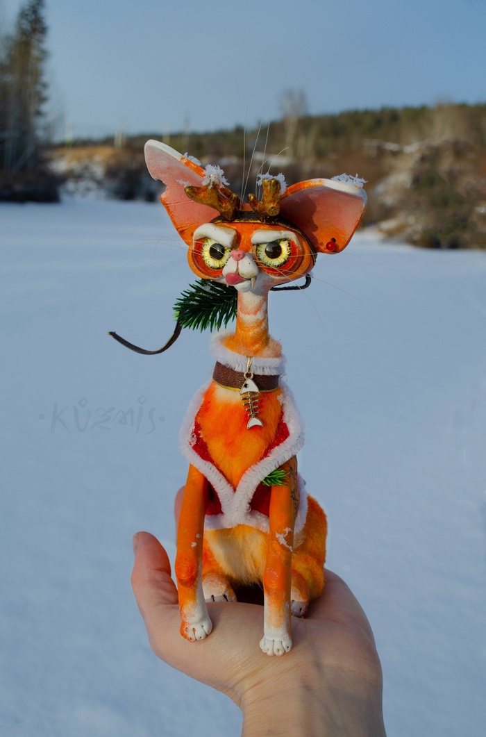 Выслеживает ёлку...