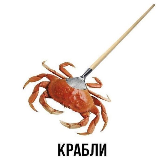 ����������������� ����� ����