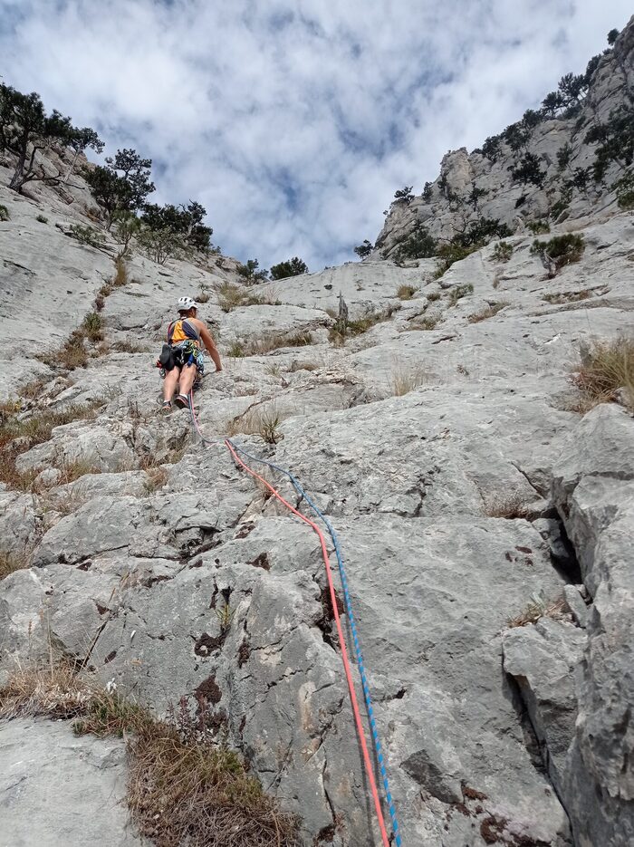 Движение от R4 к R5 правее сухого пня и в направлении кустарника