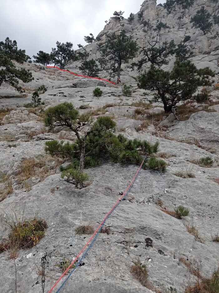 Движение от R5 к R6, страховка петлями на деревьях