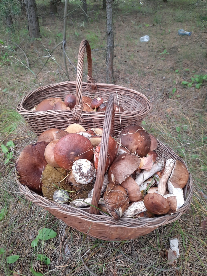 �������� �������� �� ������ �� ���� �������� �������� ���. ���� - ���, ������ - ����.