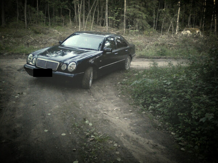 Mercedes в лесу