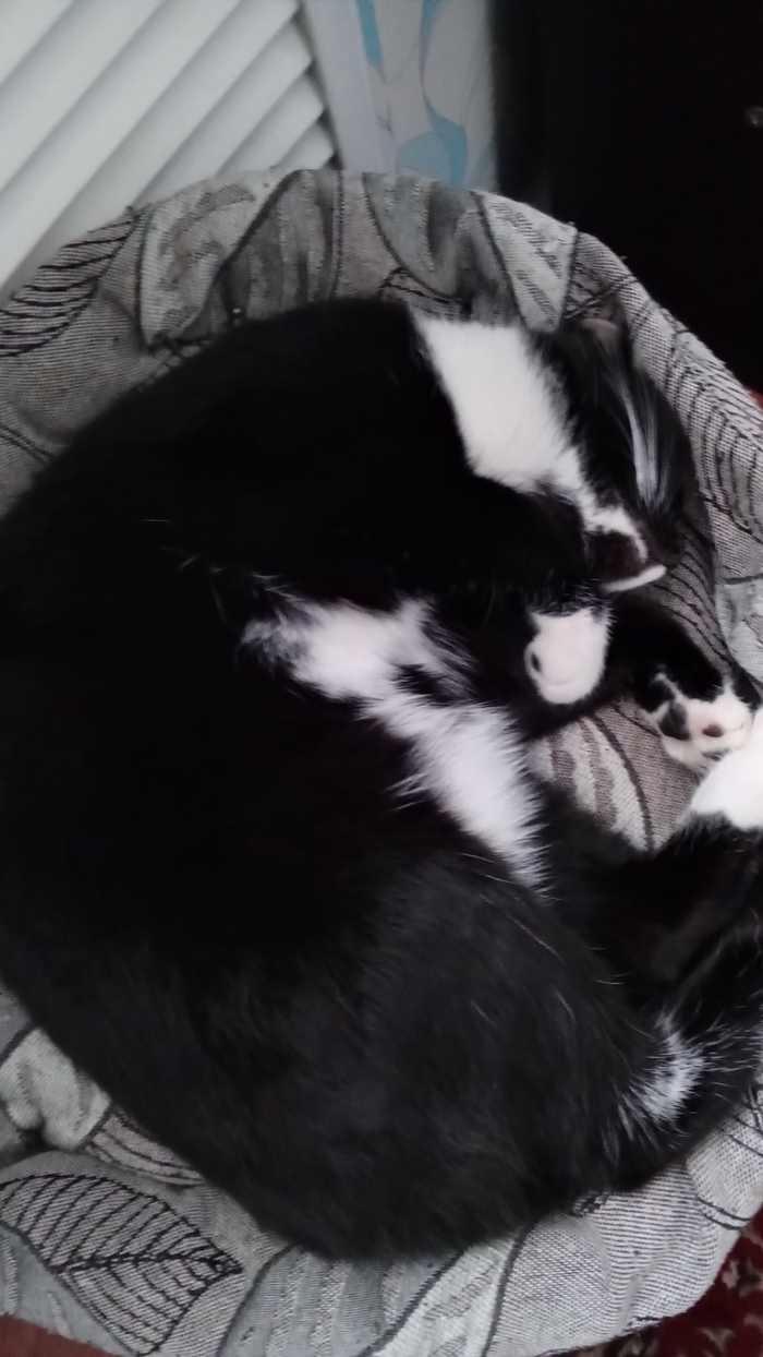 Инь-ян, или что-то такое...