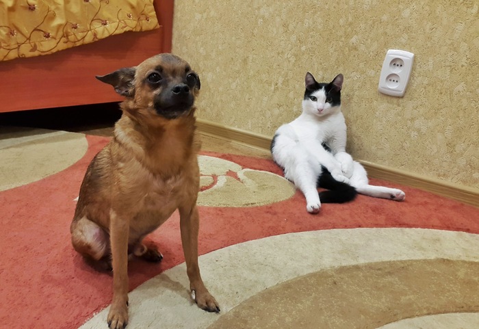    .    .      ,       -    .