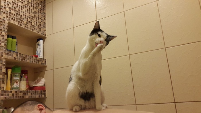       ! , ,  -     )) ,  .    ,   ,   .