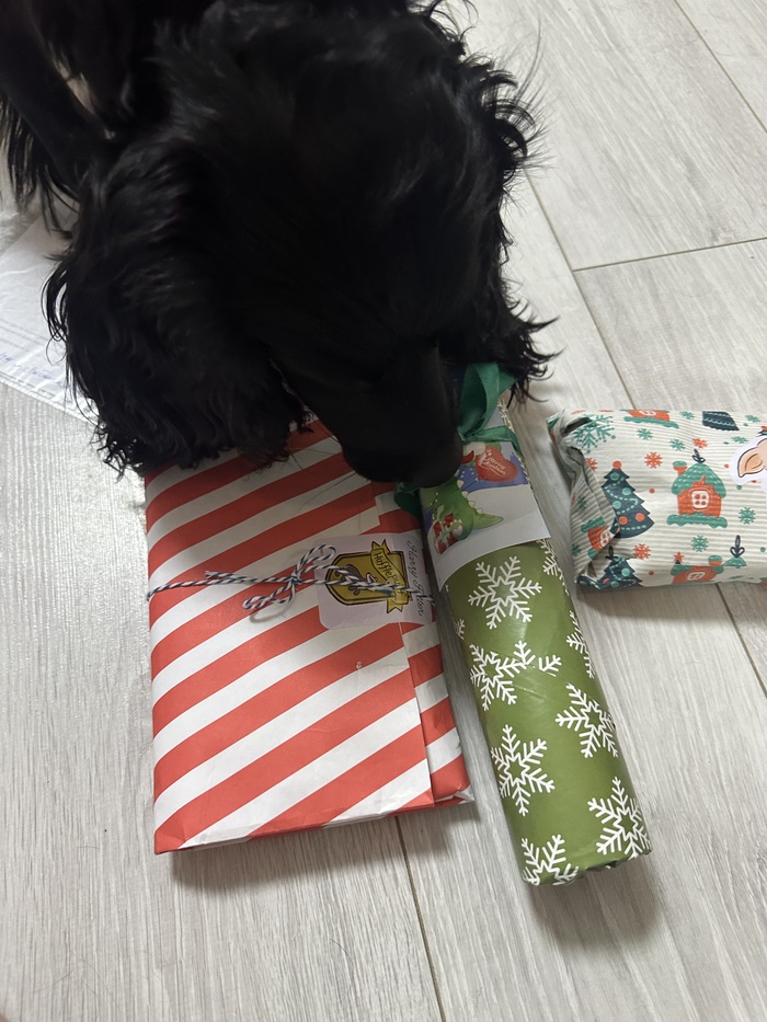 Все подарки тщательно проверялись инспектором