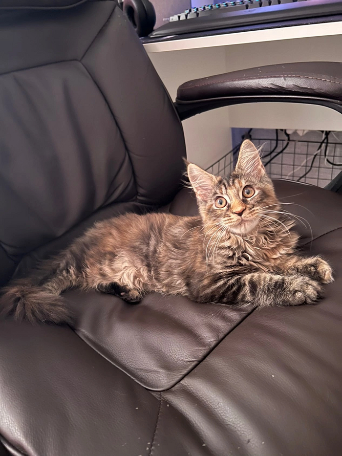 �������� �� ���� ����������