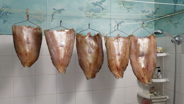 ����� � ������. ���� �������� �������� ������ ����, �� ���-�� ��������.