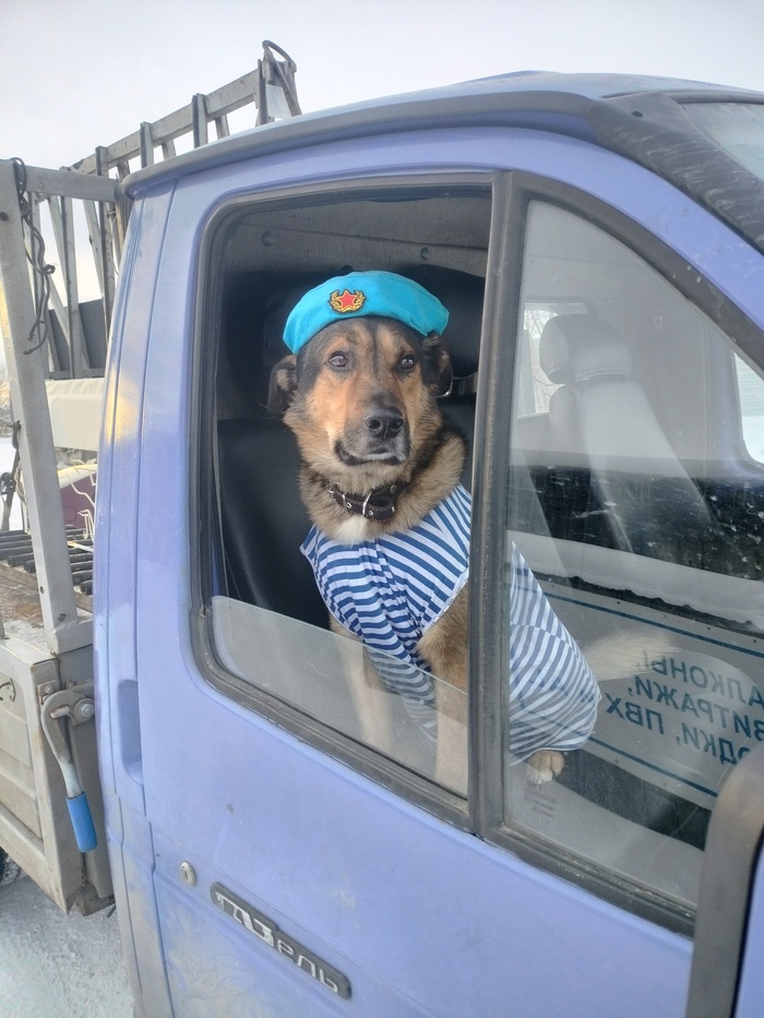 ����� ����� ���))