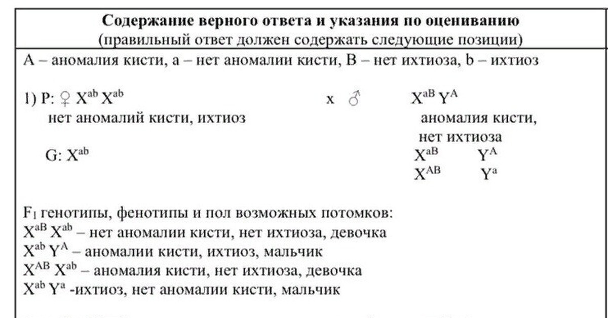 Псевдоаутосомные задачи по генетике. Задачи на генетику в ОГЭ. Псевдоаутосомные участки. Задачи по генетике трудные.