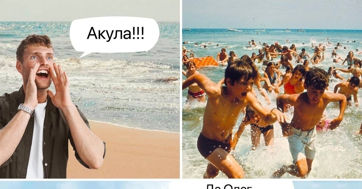 Акула | Пикабу