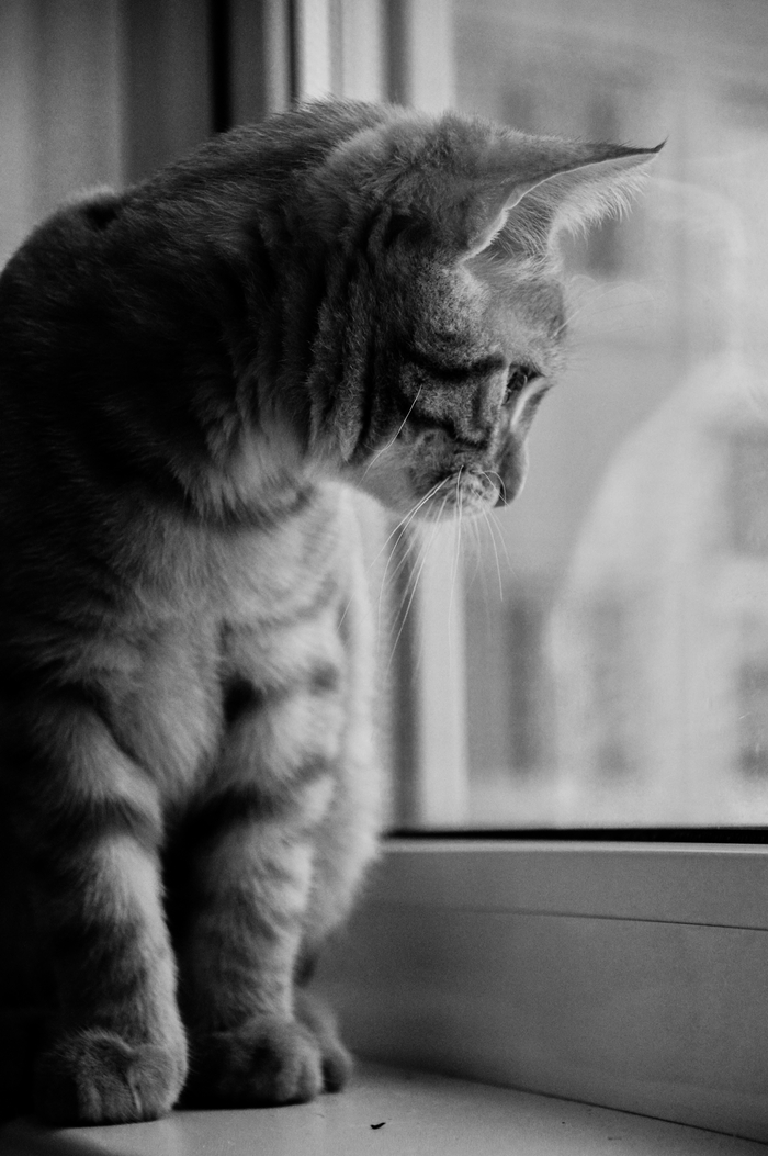 ��� ��� ��� ����� ���?