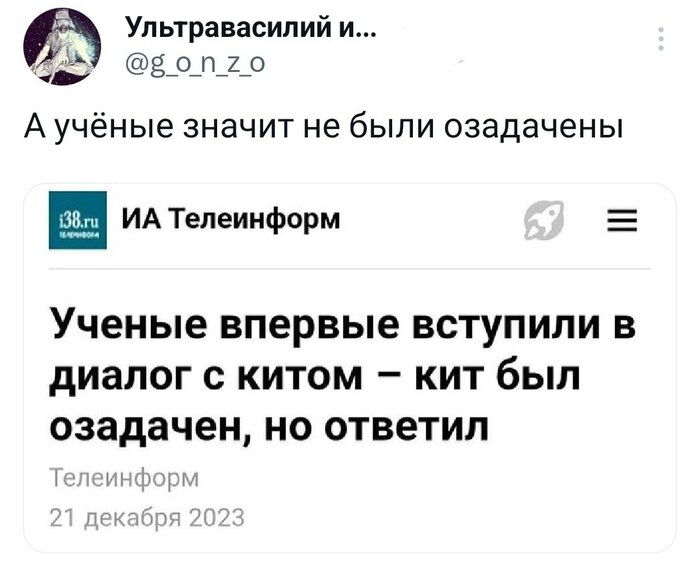 Диалог с китом