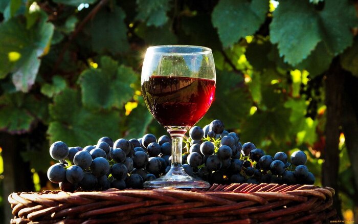Домашнее вино из винограда — действительно простой рецепт и инструкция