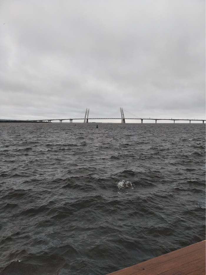 ���� ��������� ���