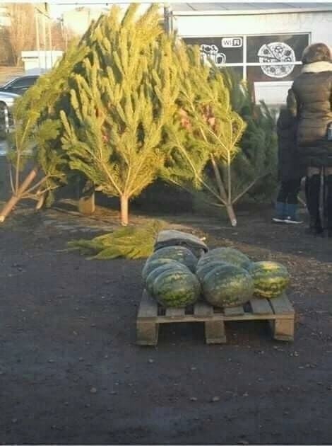 И ёлки и шары!