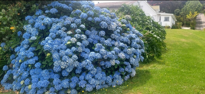 � ���� ������ �������