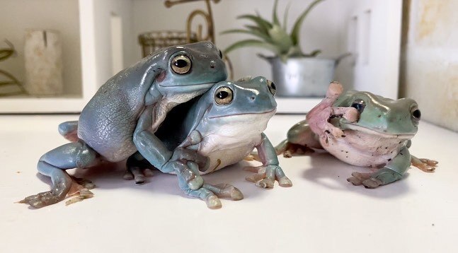 Весь год мы собирались , чтобы отметить среду