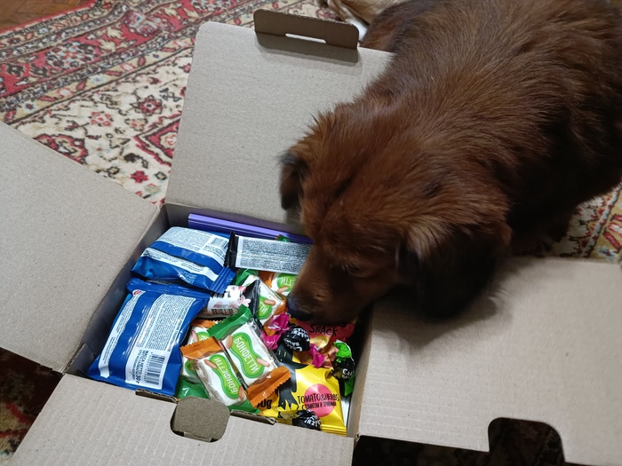 ,     -  ?    ,       ?