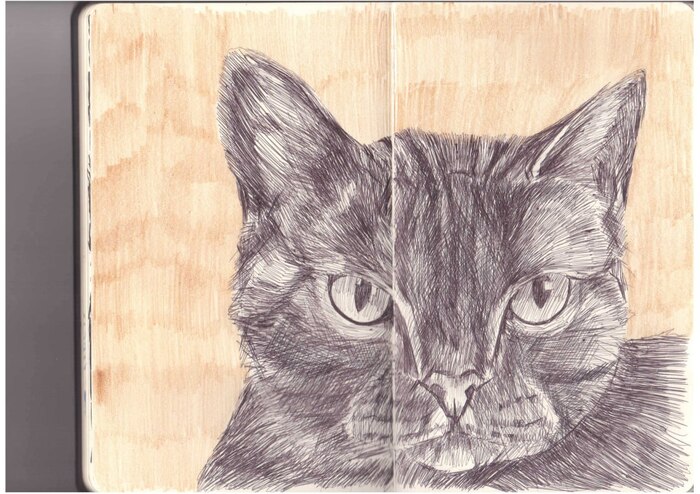 ����� ��������! ��������-�������� �����! ��� ���, ��� ������