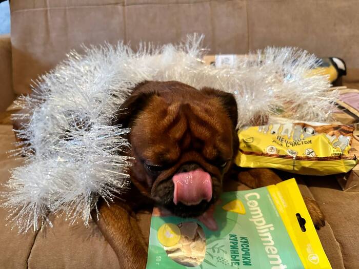 А вот и лакомства для Эмиля, говорит очень вкусно пахнет, аж слюнки текут