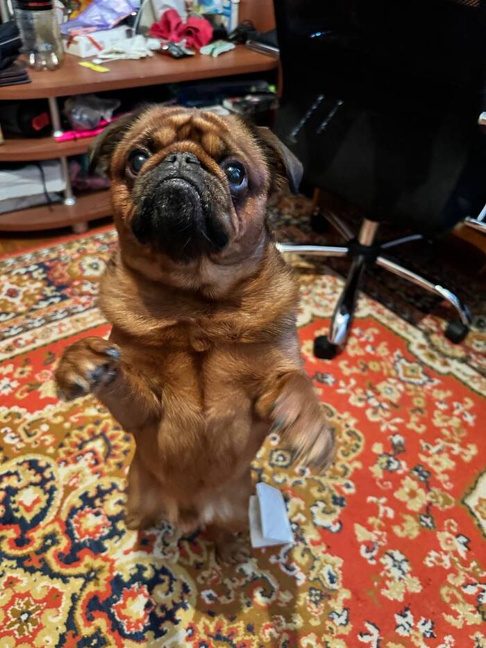 Пробуем подарок на вкус