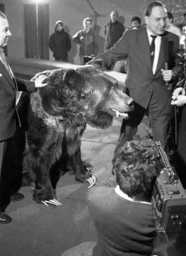 Николай Дроздов на съёмках документального фильма «Царство русского медведя», 1992 год