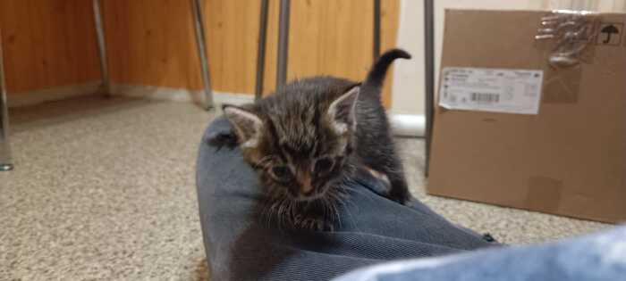 Извиняюсь за качество, оно вертелось.