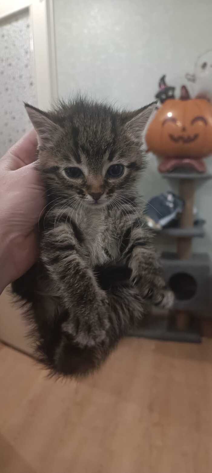 Последнее фото перед, передачей новым хозяевам