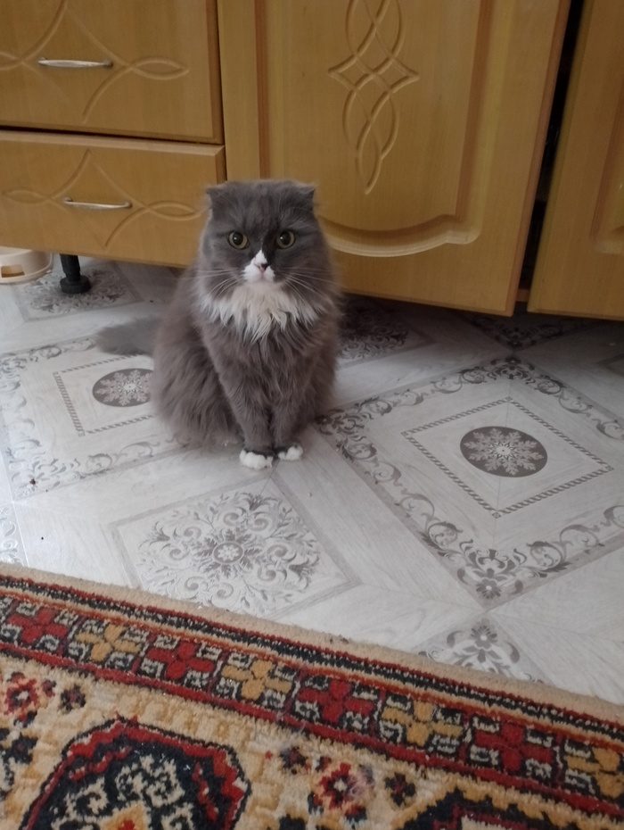 Не правда ли милашка