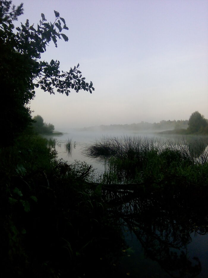  ,  ,  .  Philips V387