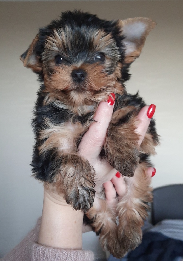 Где яйца, Зин?))