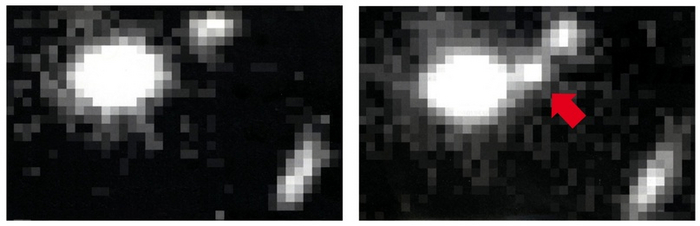  1995 ..           ,      .         . 