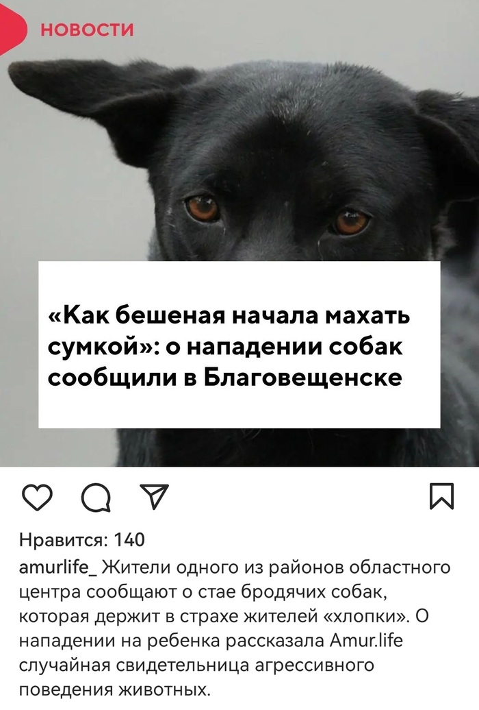 ���� �������: �� ������ ������ �������� ������, �� ���� ���������� ������� �, ���������� ���������� ������, ������� �������� ���� �������� �� ������ ����������� ����. 