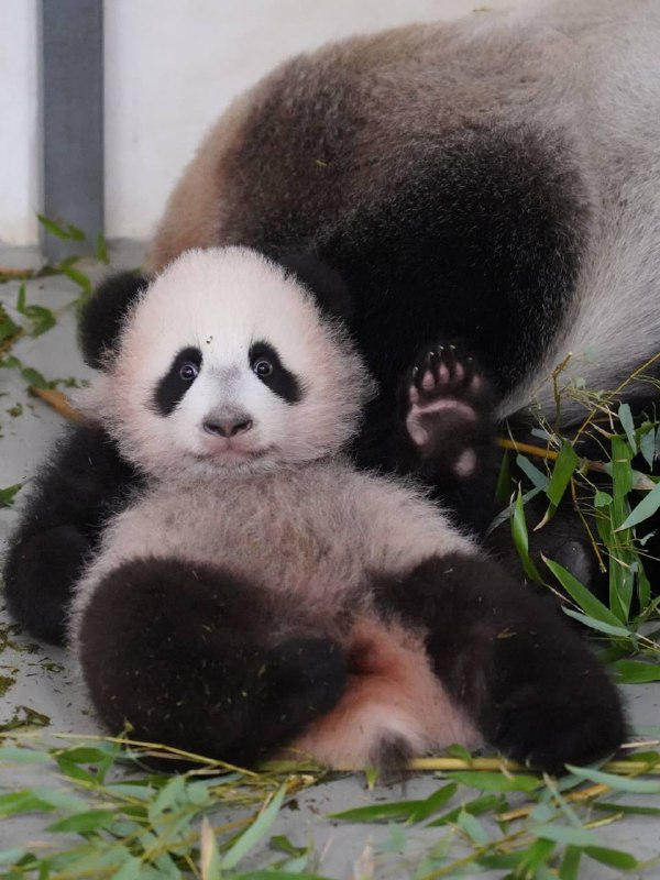 Всем привет!