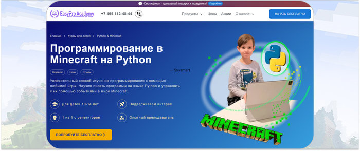 EasyPro Academy � �������������� ������� �� ���������������� � Minecraft �� Python ��� ���������� 10-14 ���