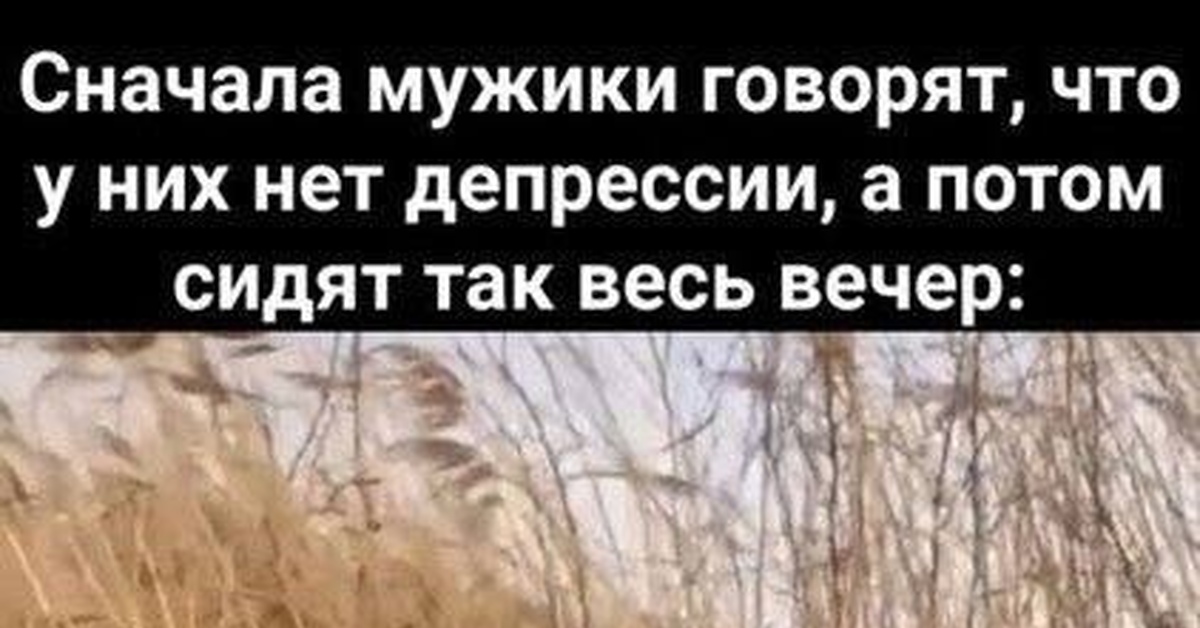 Они тоже люди | Пикабу