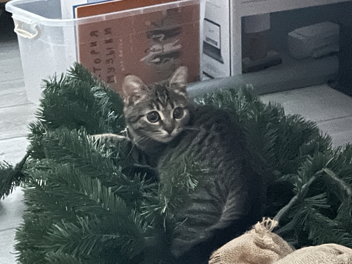 С наступающим!