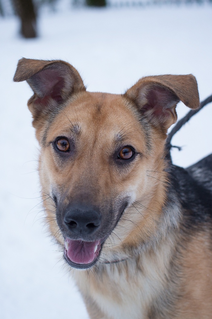 ����� ��� ����� � ���������� ����! ����������, �������� ��...