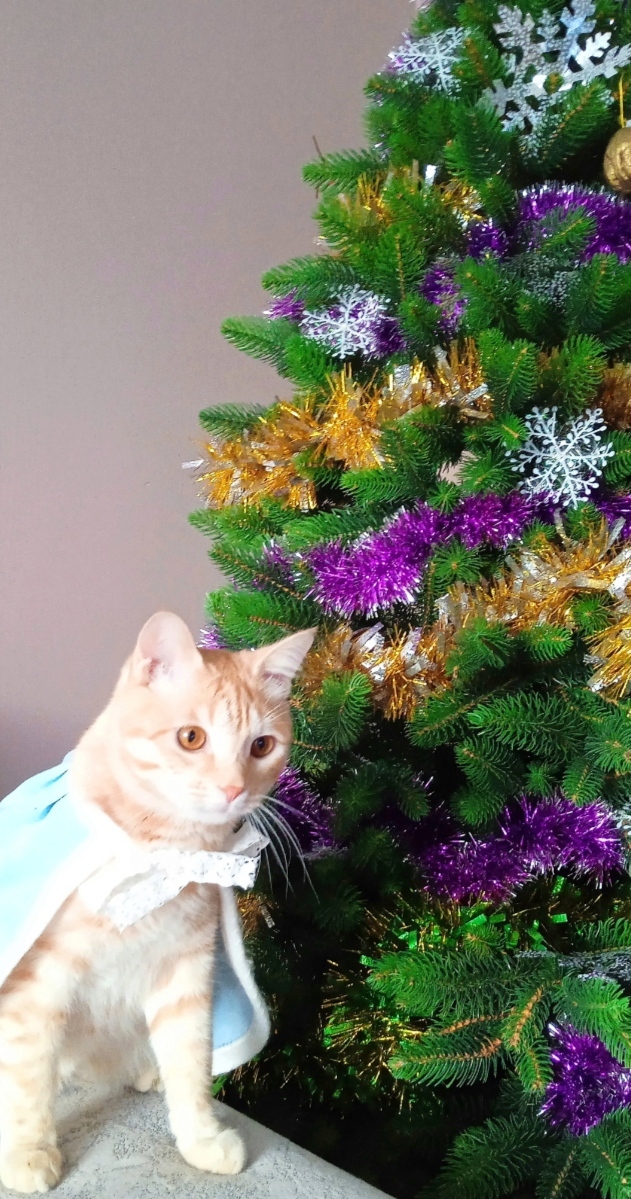 С Новым Годом! | Пикабу
