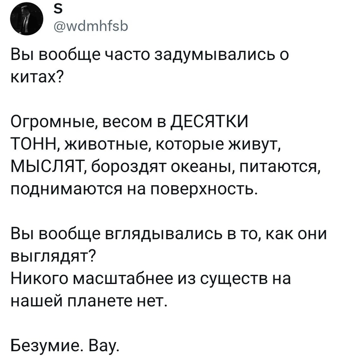  , X (Twitter), , Telegram ()