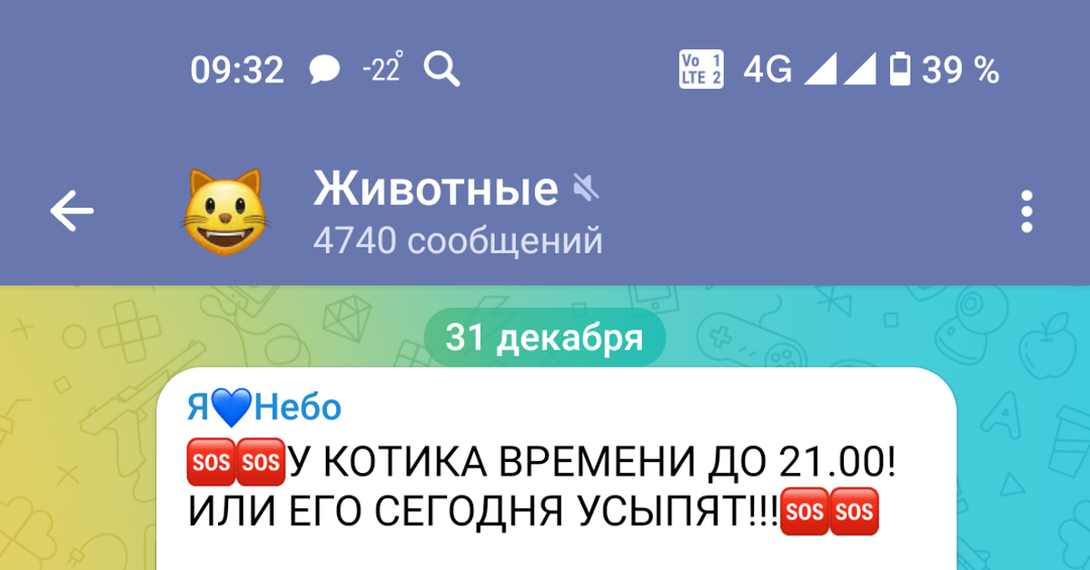 Кота собираются усыпить, Москва | Пикабу