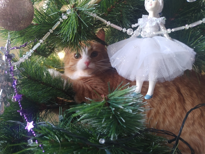 Неужели уже 2024?