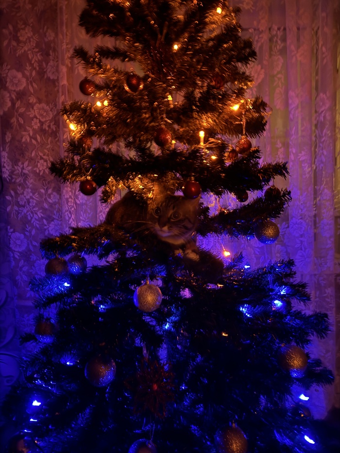 � �����������!