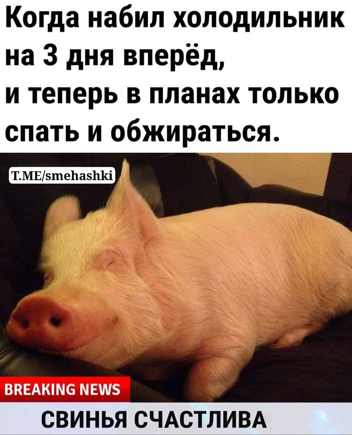 А ведь правда