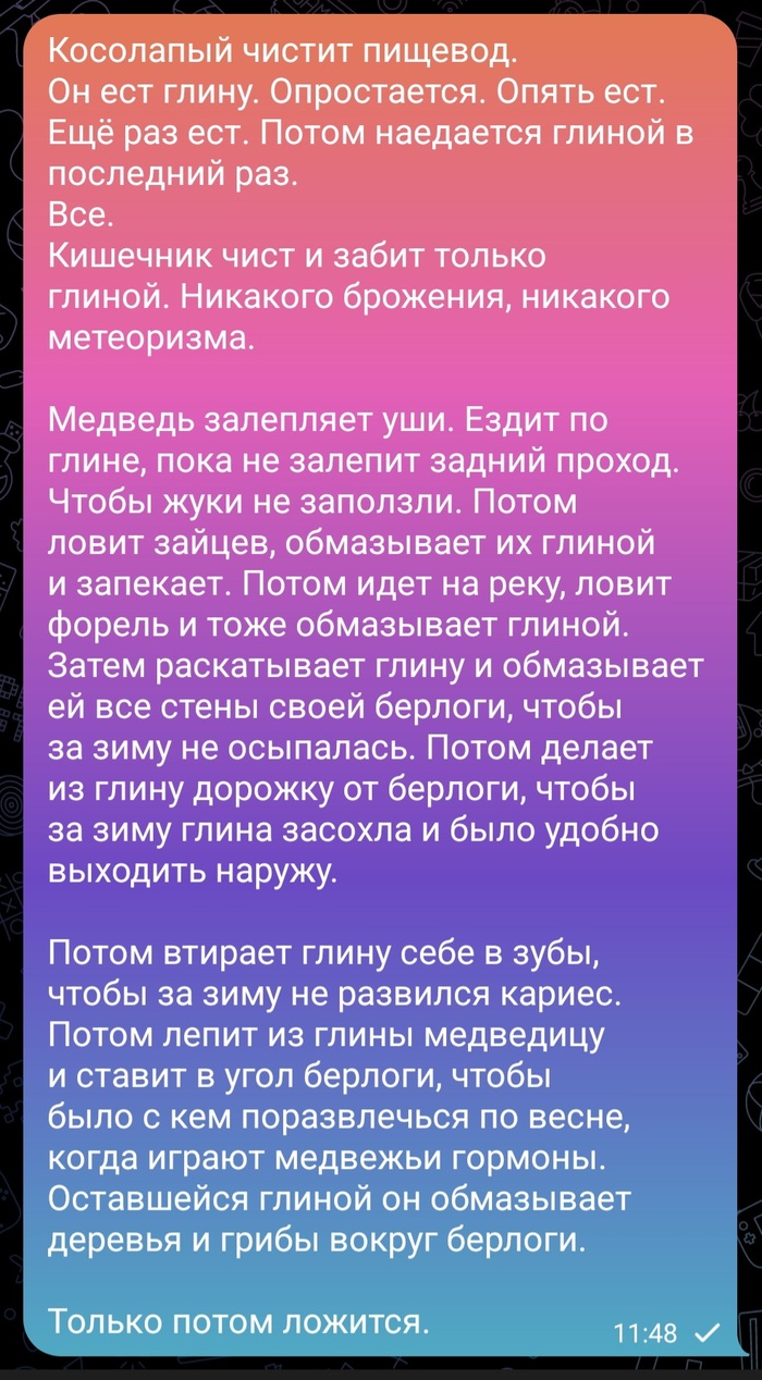 Предновогодний настрой медведя