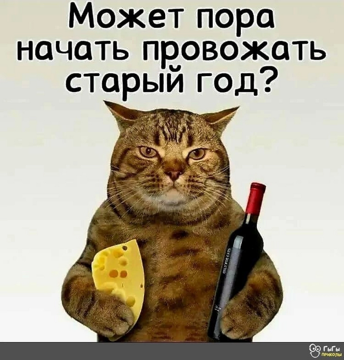 ������ ���