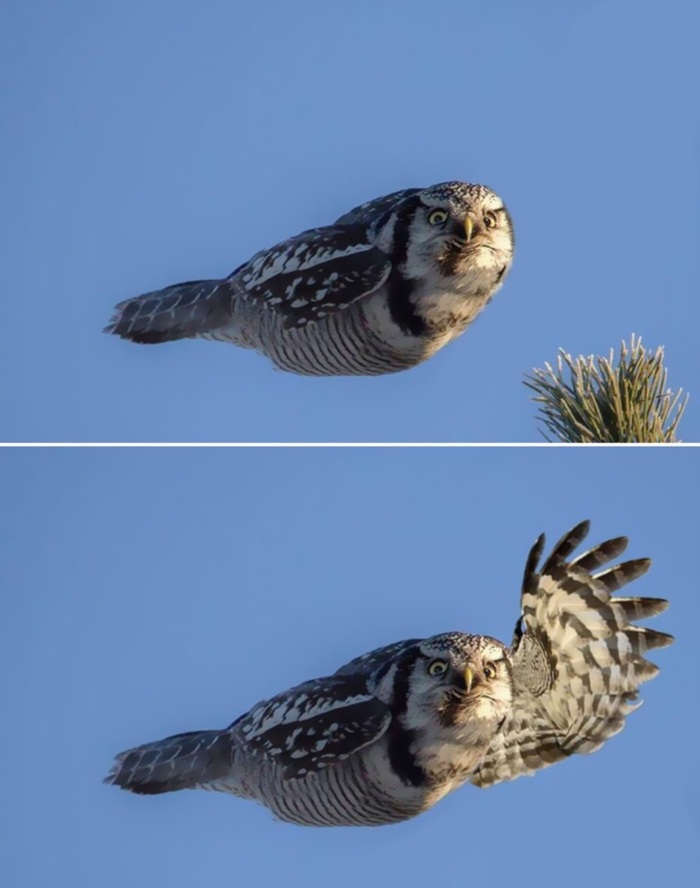 ����� ��� � ������������ :)