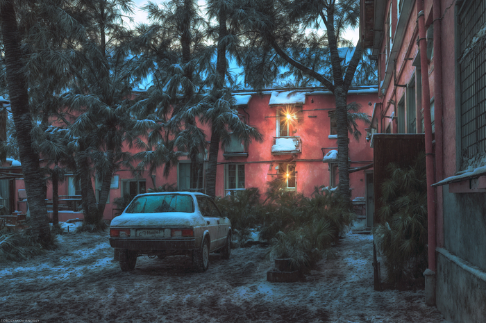 �����������