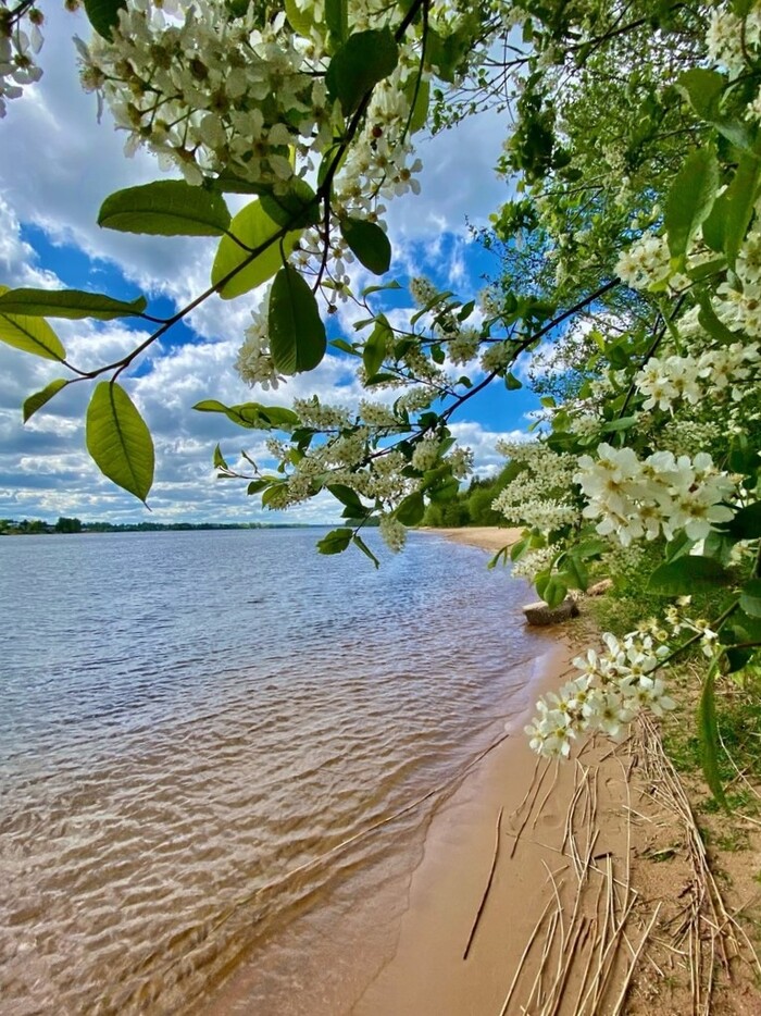 Нева, май 2023